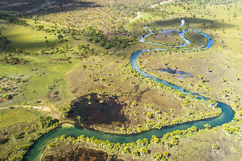 vegetação rasteira | Pulsar Imagens | Banco imagens do Brasil