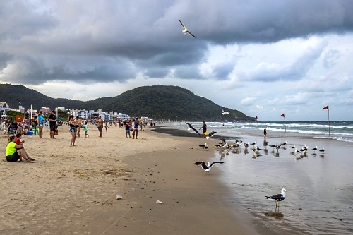 Pessoas na orla da praia dos Ingleses no fim de tarde com nuvens de chuva - bando de gaivotas procuram aliment