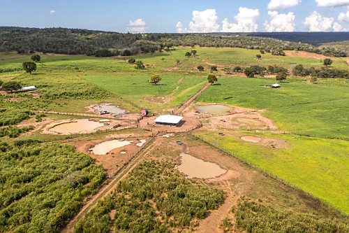 Vista de drone de propriedade rural com criação de porco serrano também denominado porco do mato ou porco c