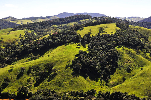 Mata Atlântica