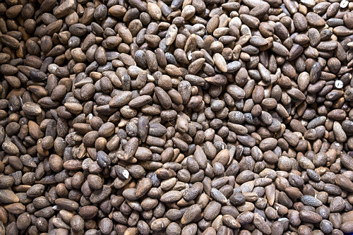 k.bubuページ murumuru | Pulsar Imagens | Banco imagens do Brasil