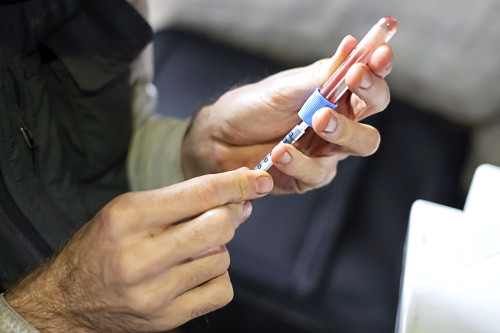 Parasitologista coletando amostra de sangue de espécie coletada na Serra do Imeri - Parque Nacional do Pico d