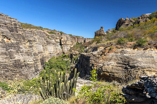 potoページ Tampa Direita Embreagem Kawasaki Zx 6r 1996