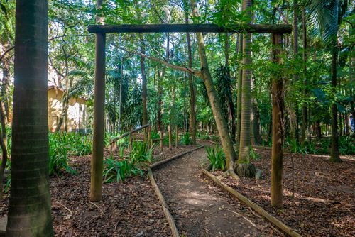Trilha no Parque Doutor Fernando Costa conhecido como Parque da Água Branca