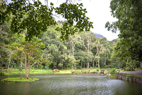 Natureza
