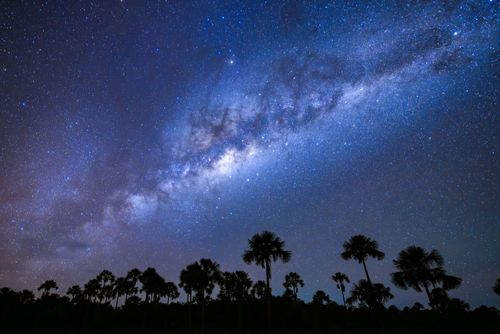 Vereda do Itaguari e via Láctea à noite - Parque Nacional Grande Sertão Veredas