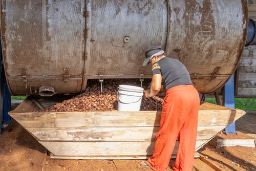 Agroextrativismo - secagem das sementes de Andiroba em forno giratório - AMARU Associação dos Moradores Agr