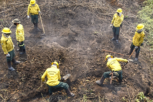 ajimarukoページ 1_l.jpg