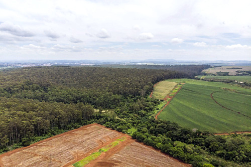 horto florestal | Pulsar Imagens | Banco imagens do Brasil
