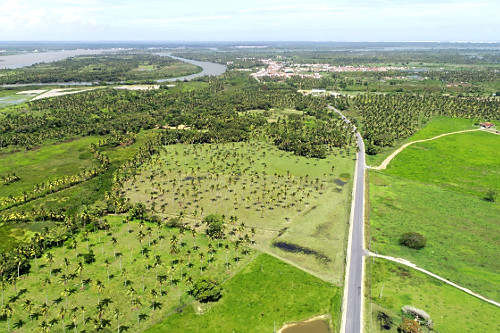 cocoページ 00125271-1.JPG?ims=fit-in/