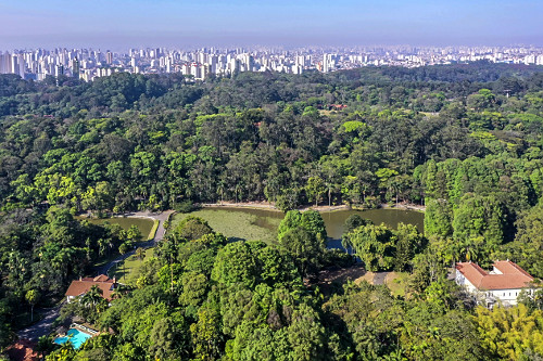 horto florestal | Pulsar Imagens | Banco imagens do Brasil