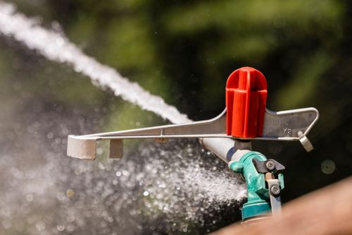 Detalhe de sistema de irrigação por aspersão 