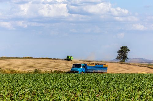 37ER067