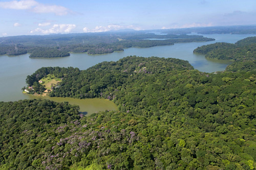 Mata Atlântica