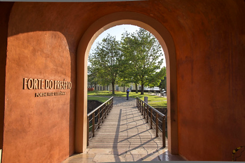 ⌘ Porte-Bonheur ⌘ページ coco de palmeira | Pulsar Imagens | Banco imagens do Brasil