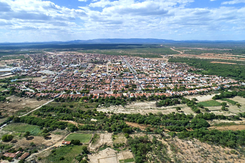 Rinページ Rinページ 正規品】Rin Parts DIO ZX タイプ ディスク ブレーキ