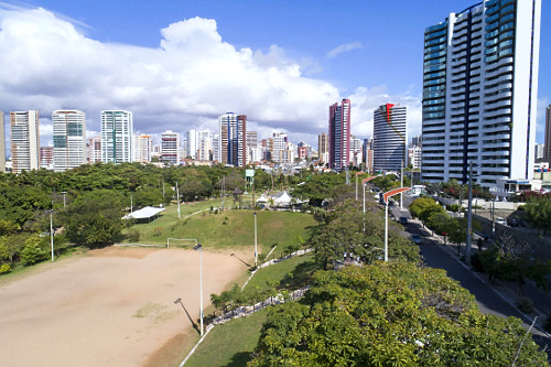 椰子ページ coco verde | Pulsar Imagens | Banco imagens do Brasil