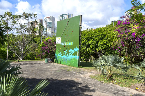 coco verde | Pulsar Imagens | Banco imagens do Brasil