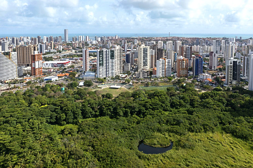 coco verde | Pulsar Imagens | Banco imagens do Brasil