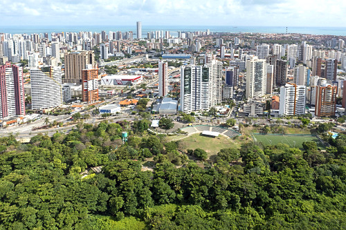 coco verde | Pulsar Imagens | Banco imagens do Brasil